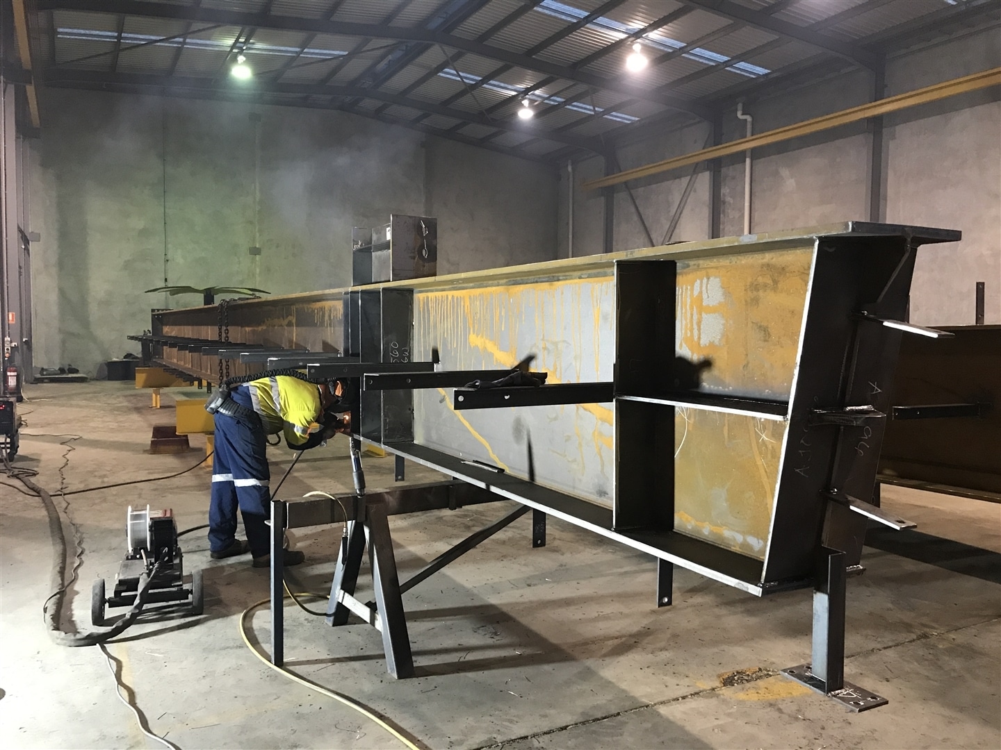 Rio Tinto Silvergrass Expansion, Pilbara 2017